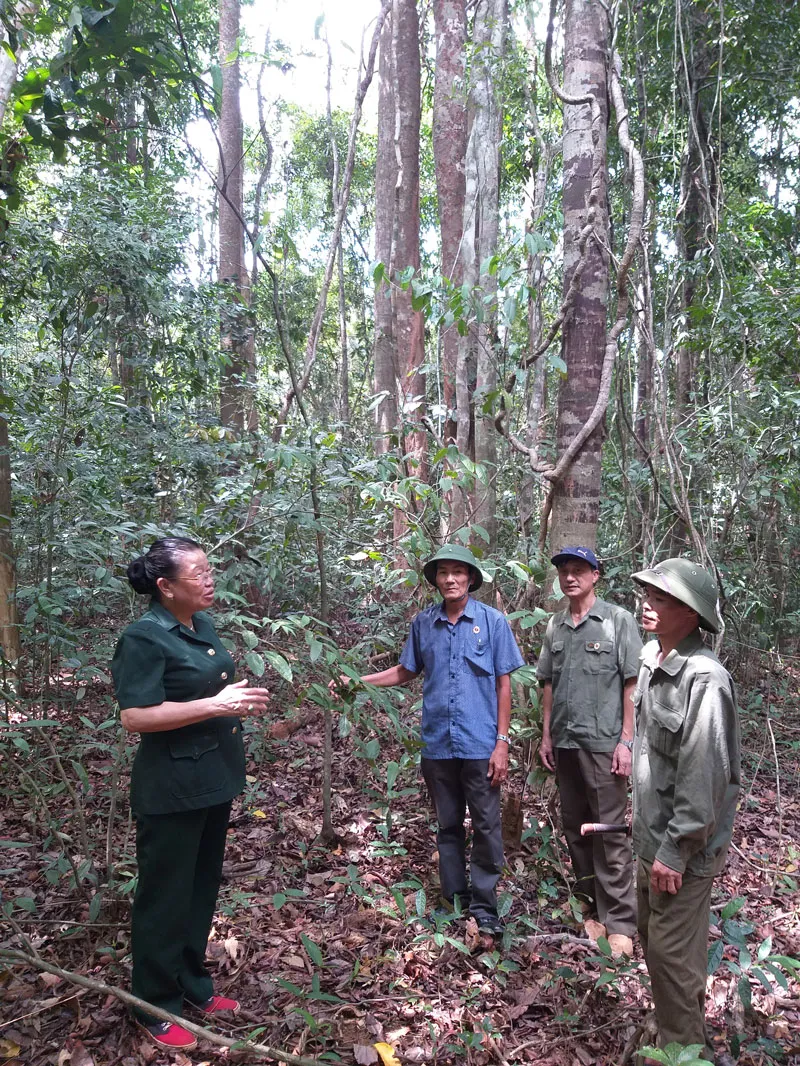 Cuộc chiến giữ rừng Mã Đà ảnh 1