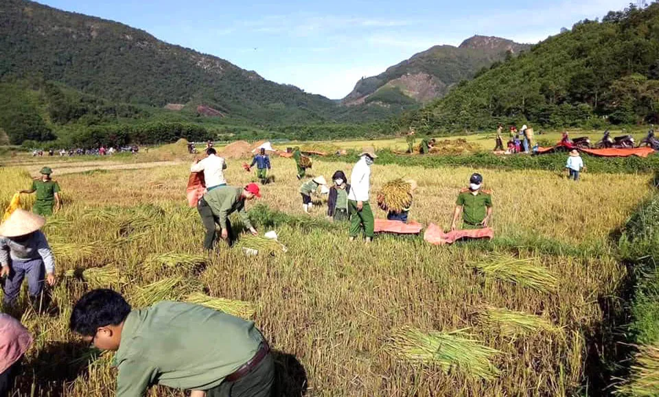 Khắc phục hậu quả bão số 5 ảnh 2