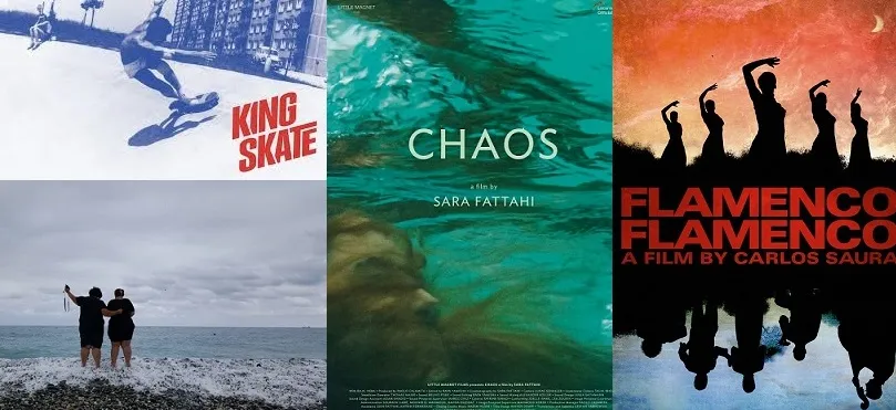 Một số phim tài liệu quốc tế được giới thiệu tại Tuần lễ phim tài liệu Châu Âu - Việt Nam lần thứ 10, năm 2019. Ảnh: GH