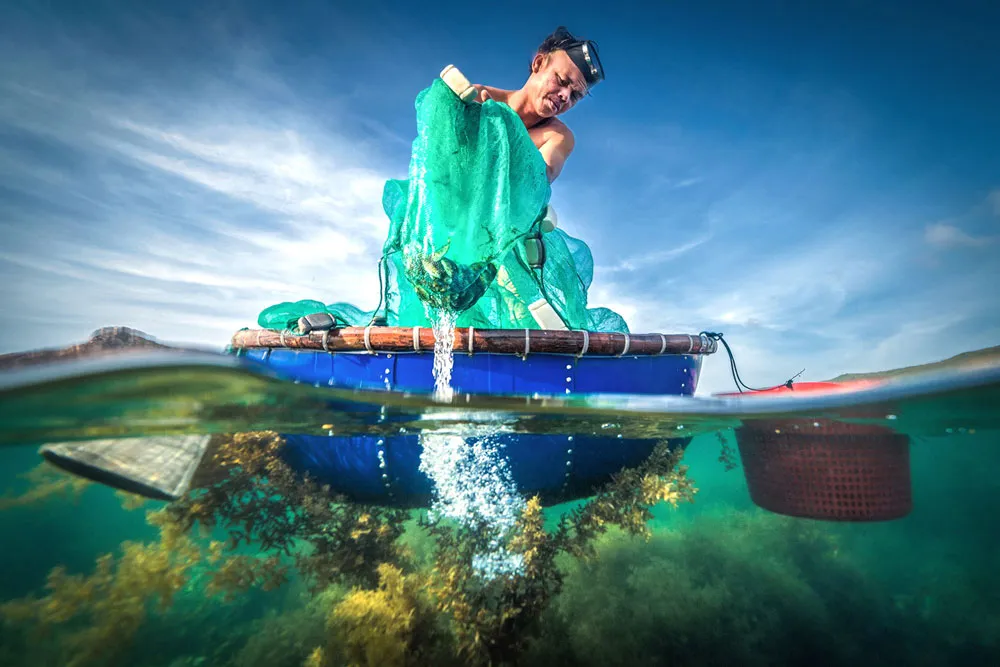 Âm sắc cuộc sống ảnh 3