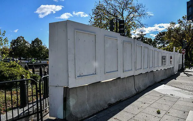 Nước Mỹ trước Ngày trọng đại ảnh 3