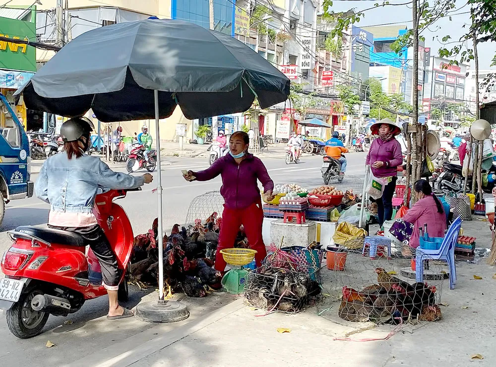 Tràn lan buôn bán gia cầm lậu ảnh 1