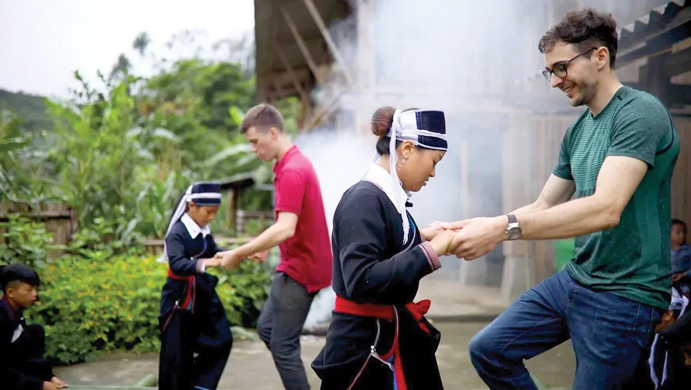 Startup trên chênh vênh đèo mây ảnh 1