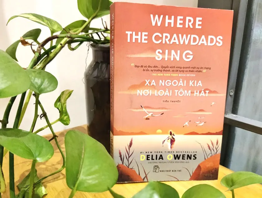 Mạnh mẽ hơn trong mất mát ảnh 1