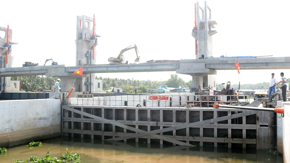 Sôi động công trình ngăn mặn ngàn tỷ ảnh 5