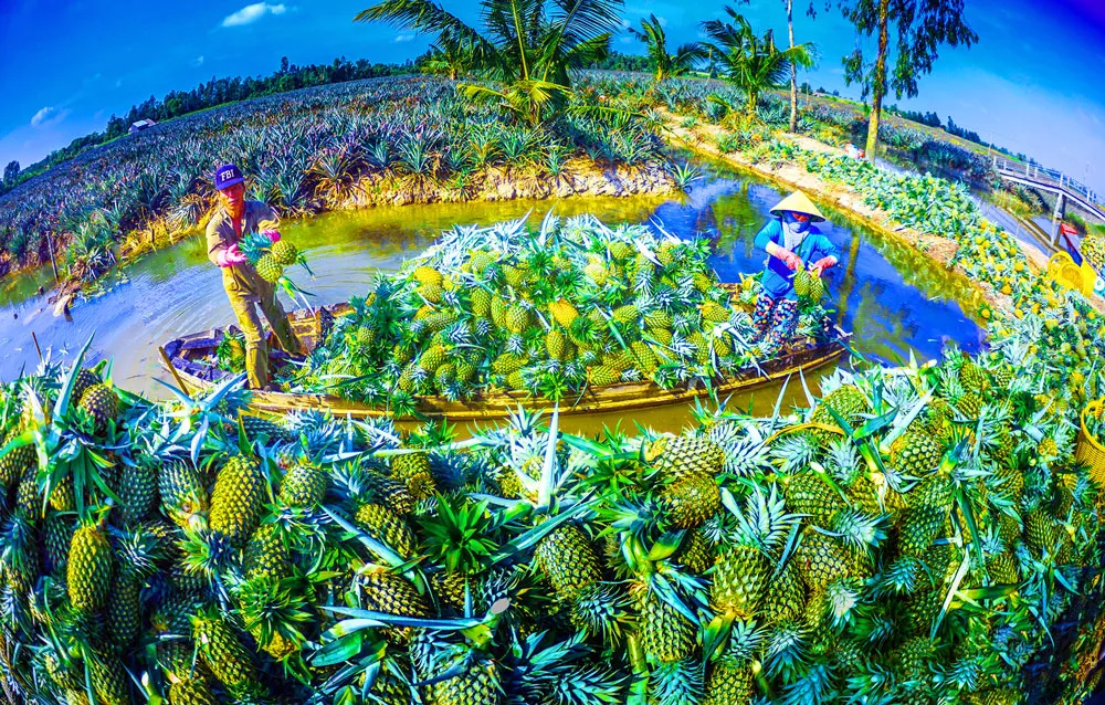 Phát triển bền vững ĐBSCL: Chiến lược 8G ảnh 2