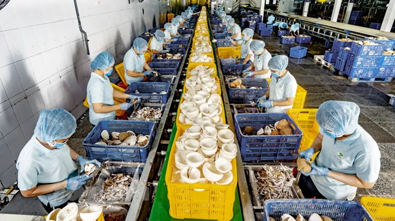 Chế biến dừa ở Bến Tre. Ảnh: Báo ĐCS