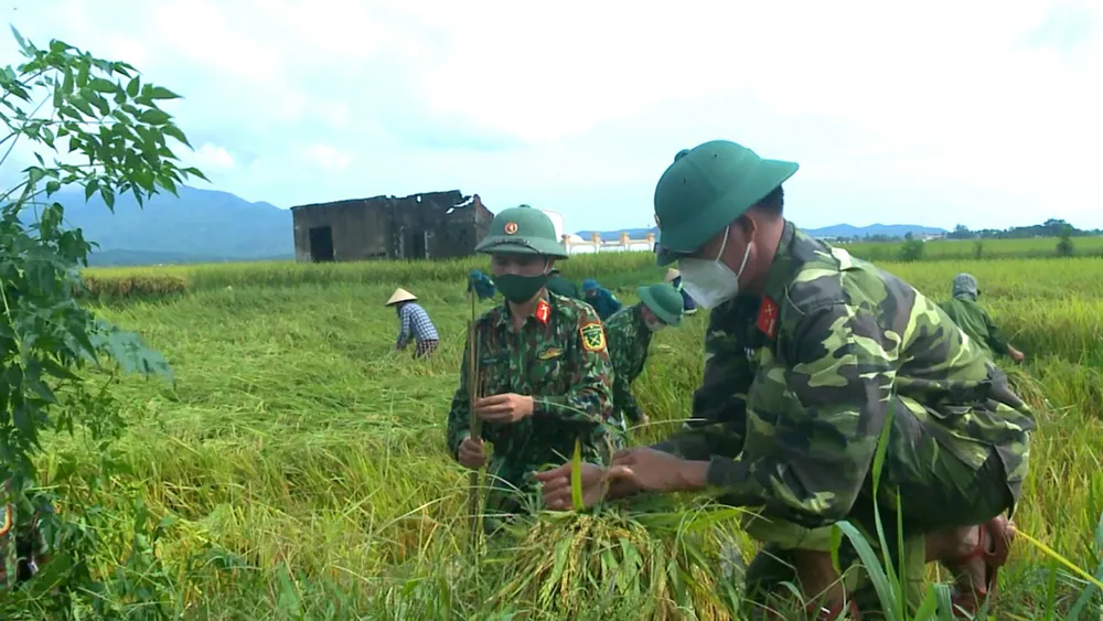Miền Trung: Vừa ứng phó bão số 5, vừa phòng chống dịch ảnh 1