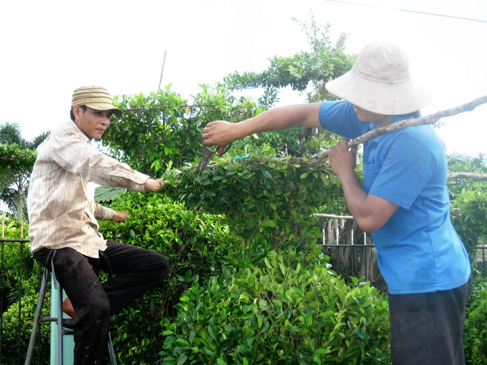 Làng nghề từng bước khôi phục sản xuất ảnh 2