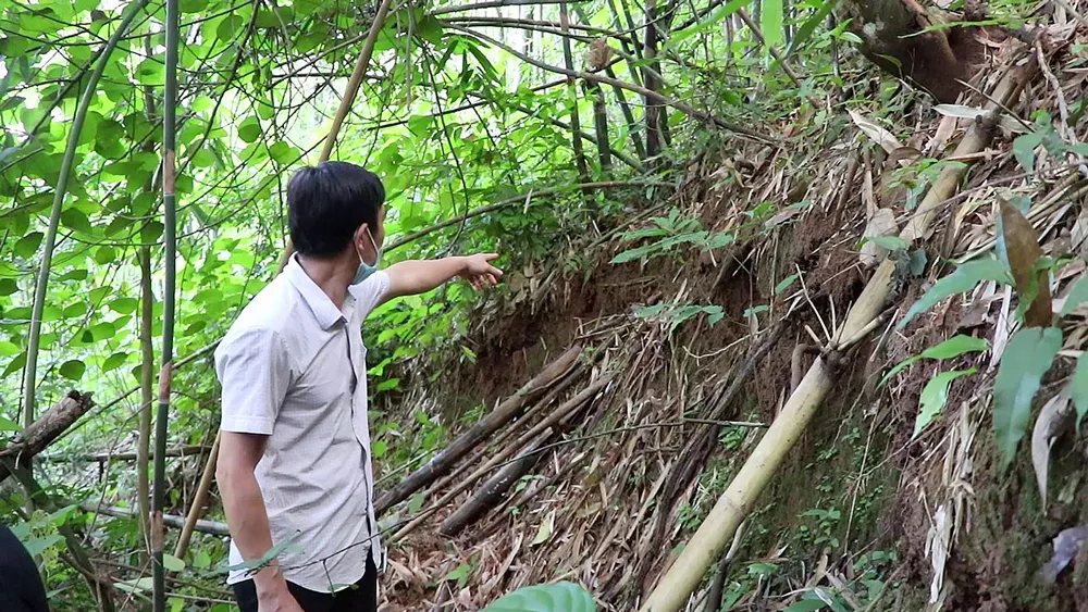 Một điểm nứt, sạt trên núi Tà Hẻm, xã Trung Thành, huyện Quan Hóa (Thanh Hóa)