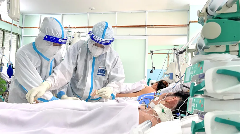 Hồi sinh ngoạn mục ảnh 1