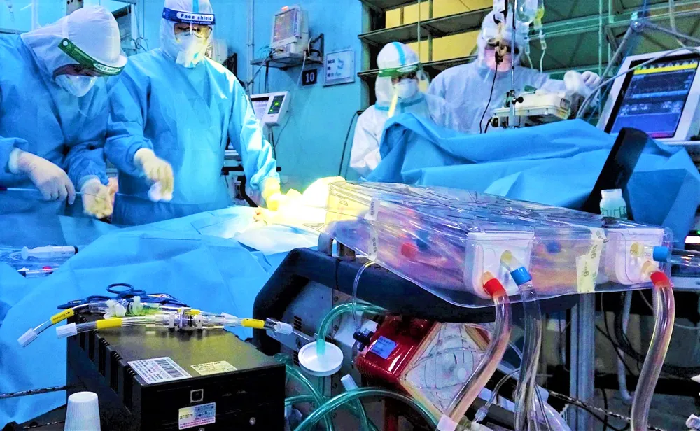 Hồi sinh ngoạn mục ảnh 3