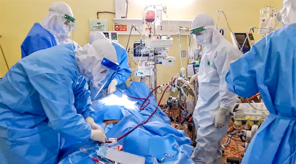 Hồi sinh ngoạn mục ảnh 2