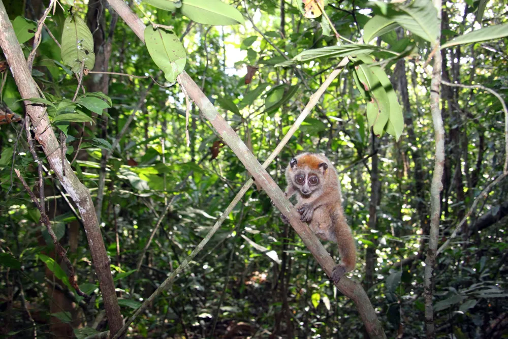 Phản hồi bài viết Băn khoăn vị trí dự kiến xây cầu Mã Đà: Bảo vệ di sản của nhân loại ảnh 1
