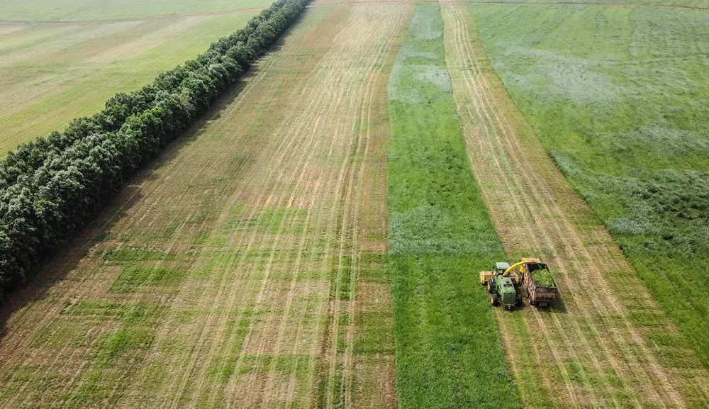 TH true MILK: Ly sữa tươi sạch tạo dựng thế hệ vàng ảnh 2