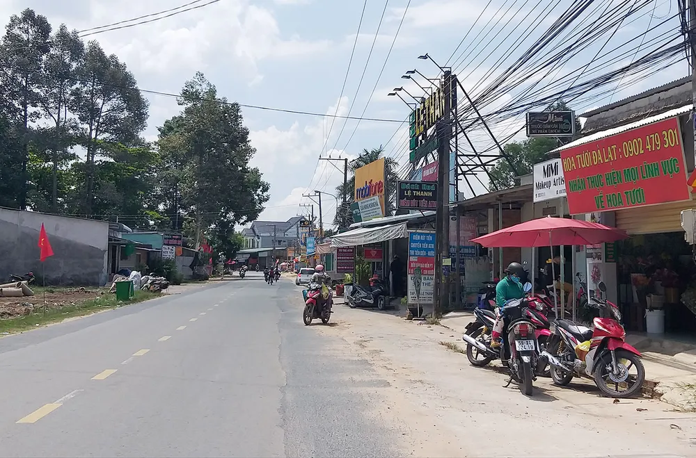 Về nơi Rừng Sác ảnh 2