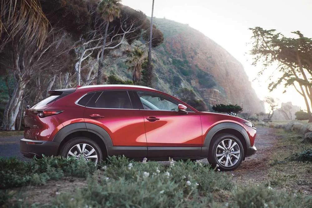 Lợi thế của bộ đôi Mazda CX-3 và CX-30 trong phân khúc SUV đô thị tầm 900 triệu  ảnh 1