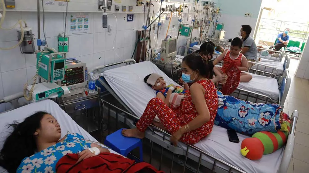 Vào mùa dịch bệnh tay chân miệng, sốt xuất huyết ảnh 1