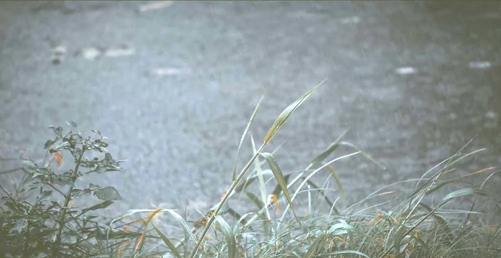 Ảnh: KHANH TRỊNH