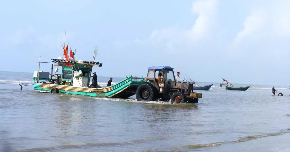 Nhộn nhịp làng biển ảnh 7