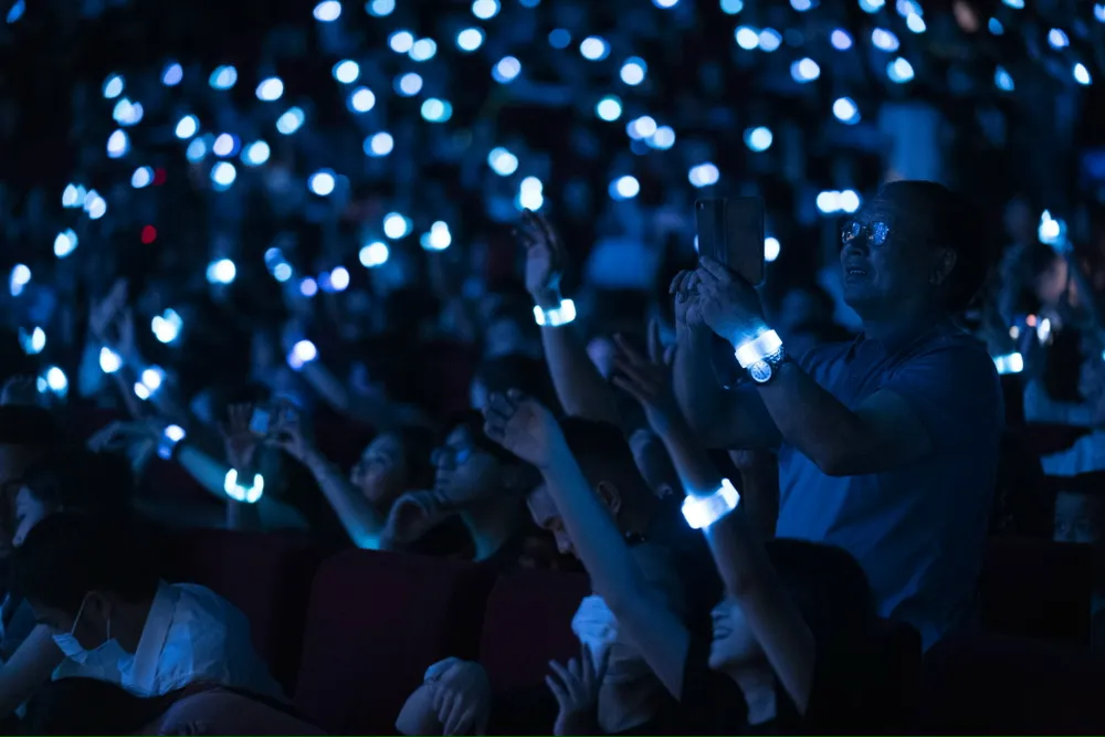 3.000 người tham dự đại nhạc hội ra mắt cộng đồng VinFast toàn cầu ảnh 7