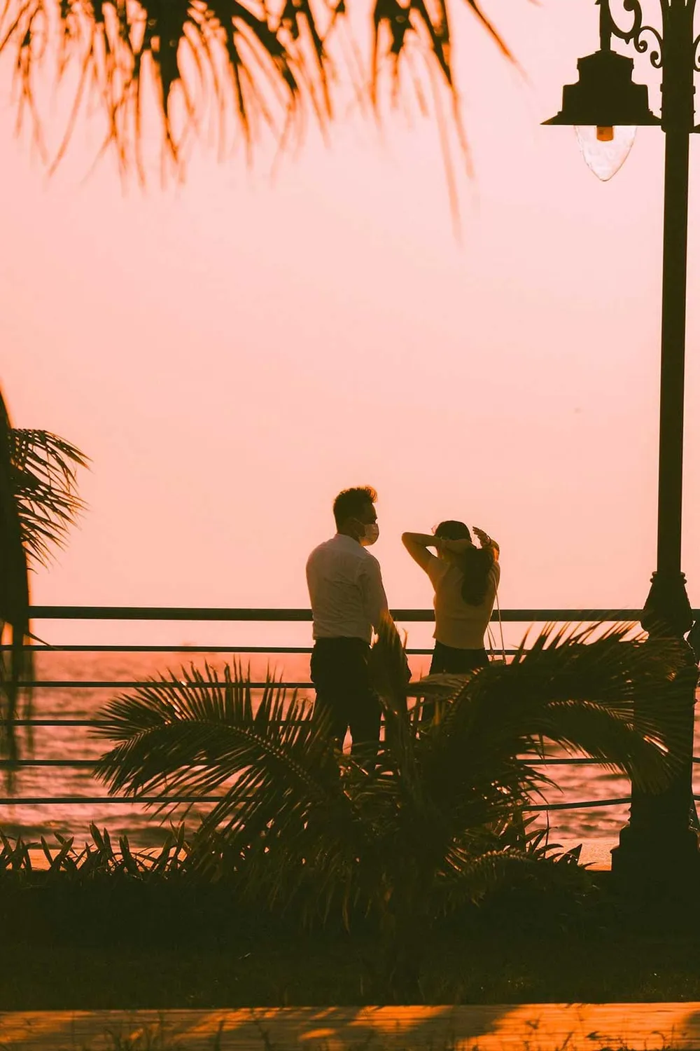 Dịu dàng mùa sang ảnh 1