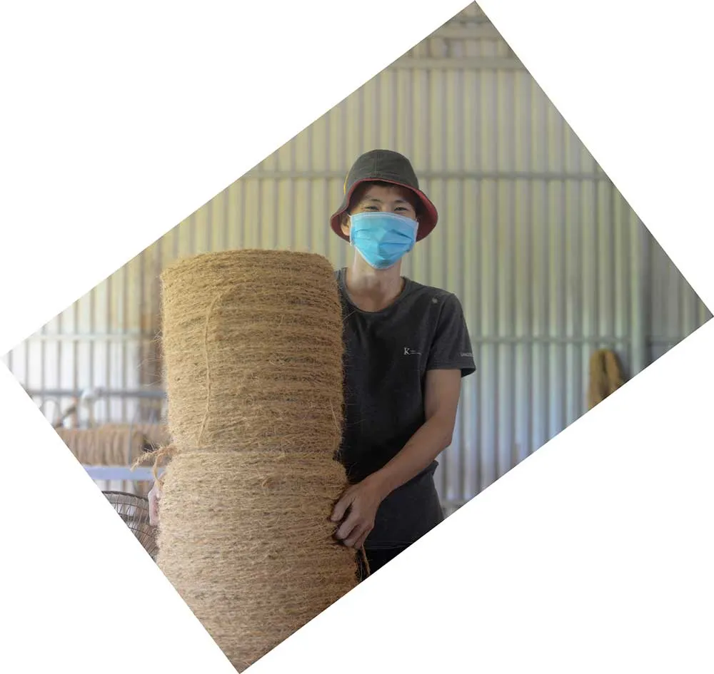 Giá trị của cây dừa ảnh 6