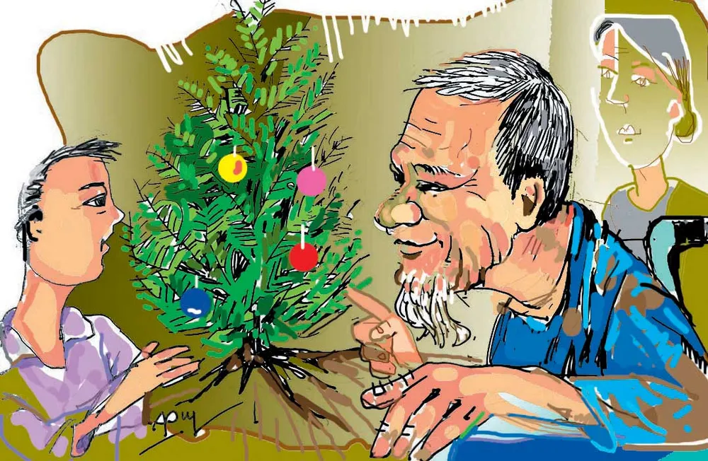 Cây bách xanh mang màu hạnh phúc 