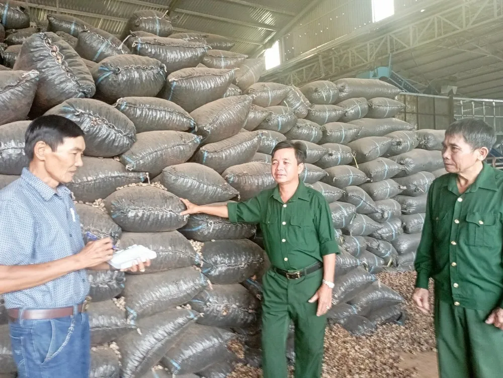 Đi lên nhờ chế biến điều xuất khẩu