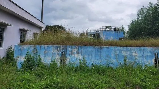 Cỏ dại bủa vây nhà máy nước sạch thị trấn Vân Canh trước đó