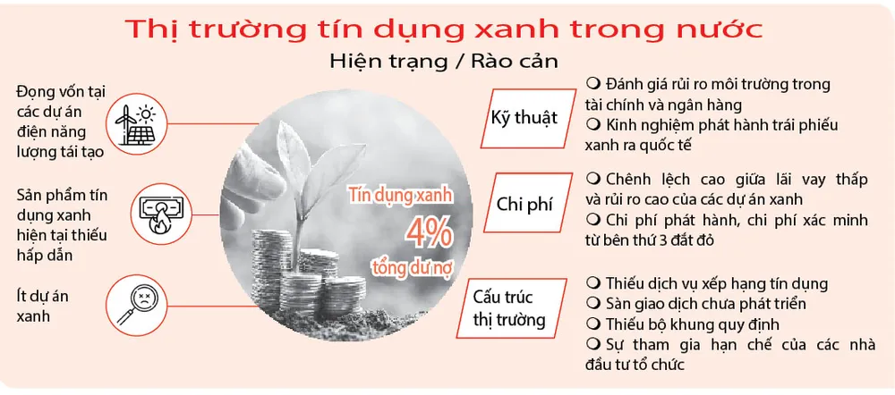 Nguồn: Nhóm nghiên cứu của Đại học Bristol (Anh) và Đại học Kinh tế TPHCM