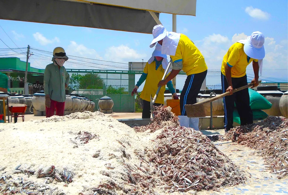 Công thức trộn “3 cá - 1 muối” phổ biến nhất của nước mắm Phan Thiết
