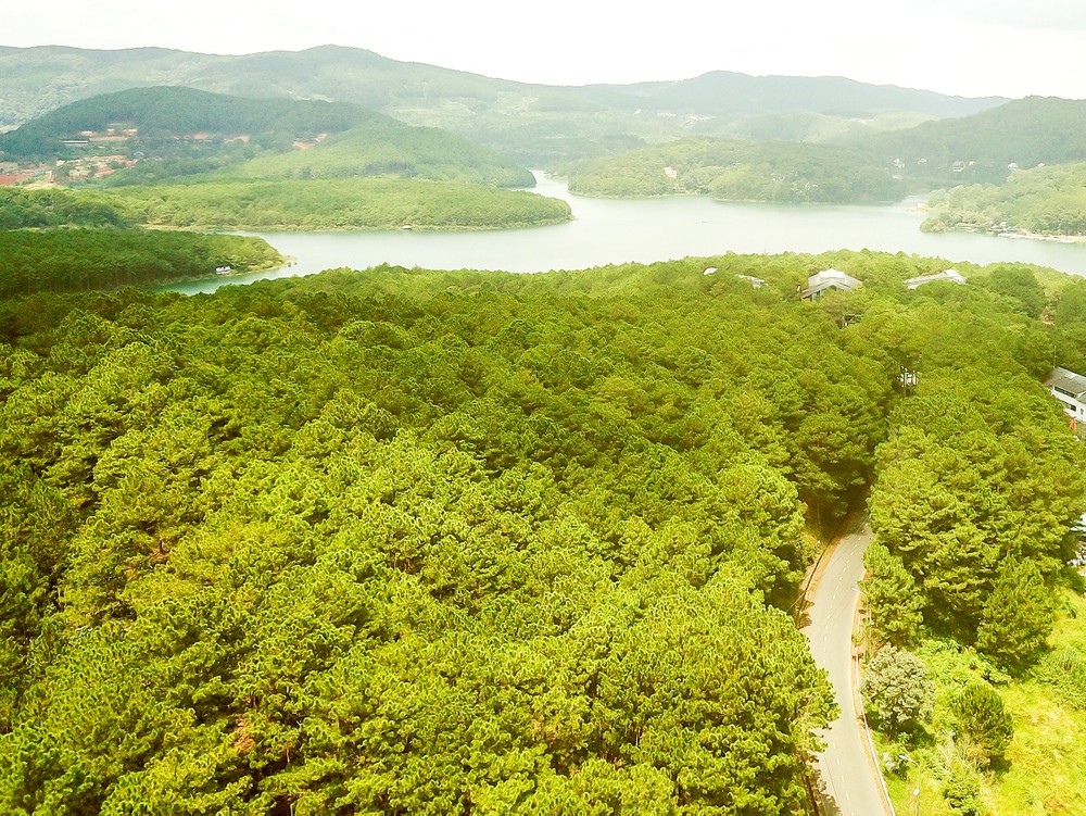 Vietnam has over 14.7 million ha of forest with a coverage rate of 42 percent. (Photo: SGGP)