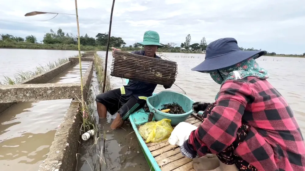 PSA - Anh5-Người dân.jpg