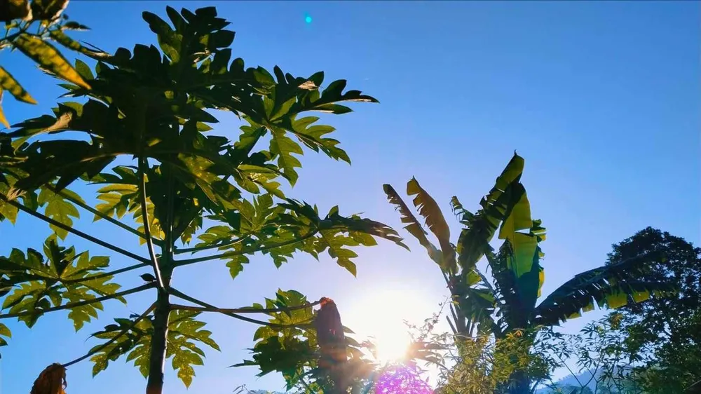 Hà Nội lạnh 11-16 độ C vào lúc sáng sớm nay 3-10. Ảnh do người dân chia sẻ