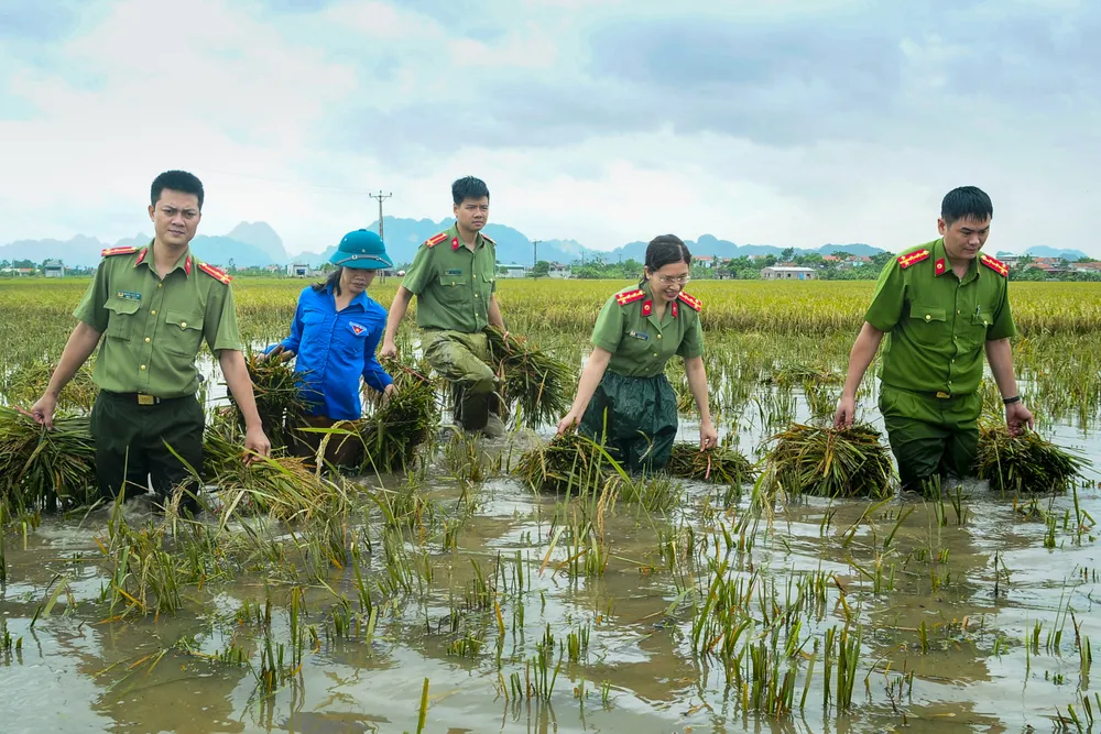 Cống hiến- Giúp dân cứu lúa.jpeg