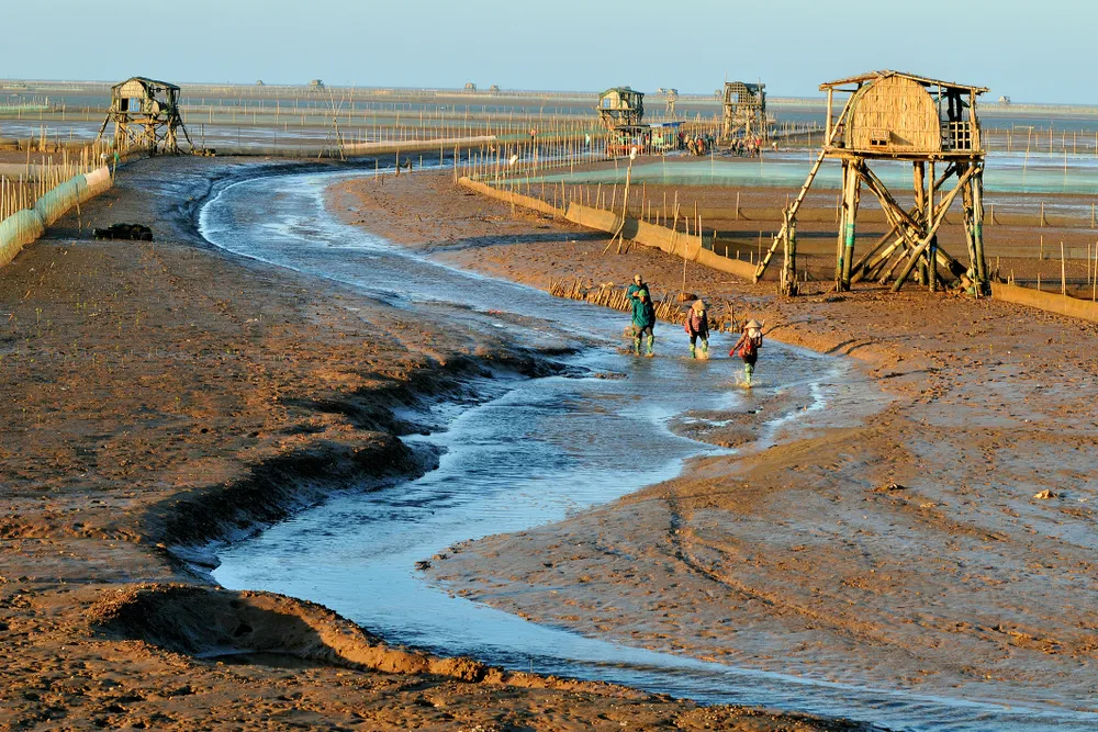 Nước non ngàn dặm- Vùng đất hồi sinh.jpeg