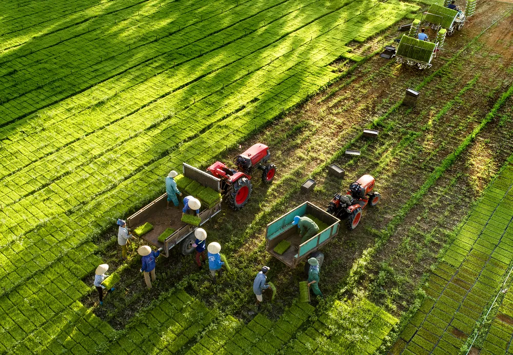 le cong binh-0947675127-ma khay ra dong.jpeg