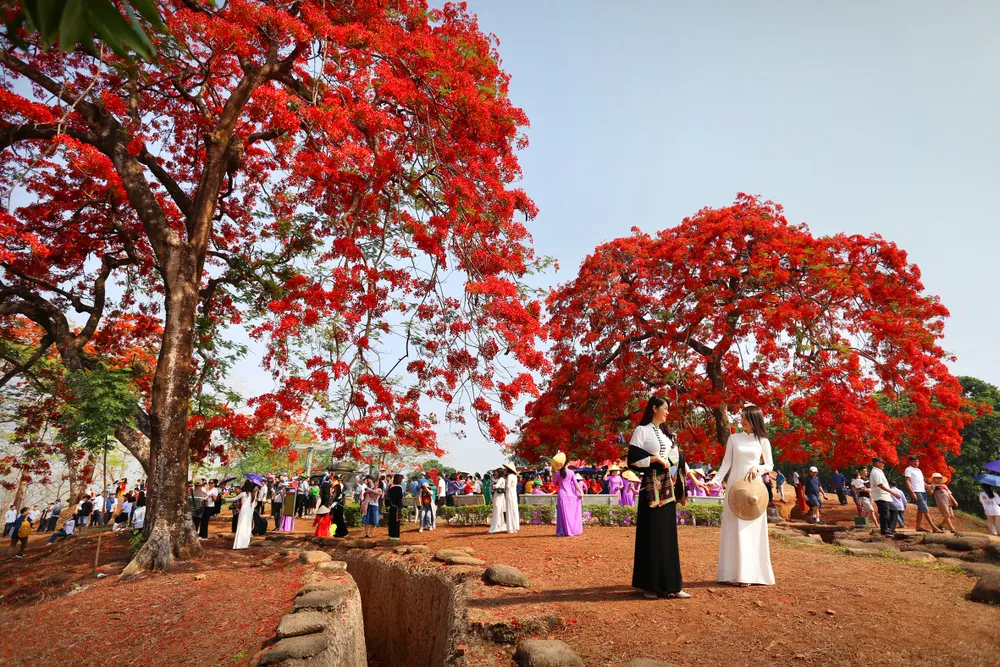 luong the tuan-0913289441-thang 5 tren doi a1.jpeg