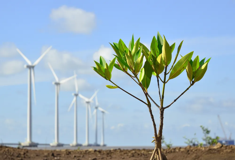 nguyen xuan han-0917033314-moi truong song xanh.jpeg