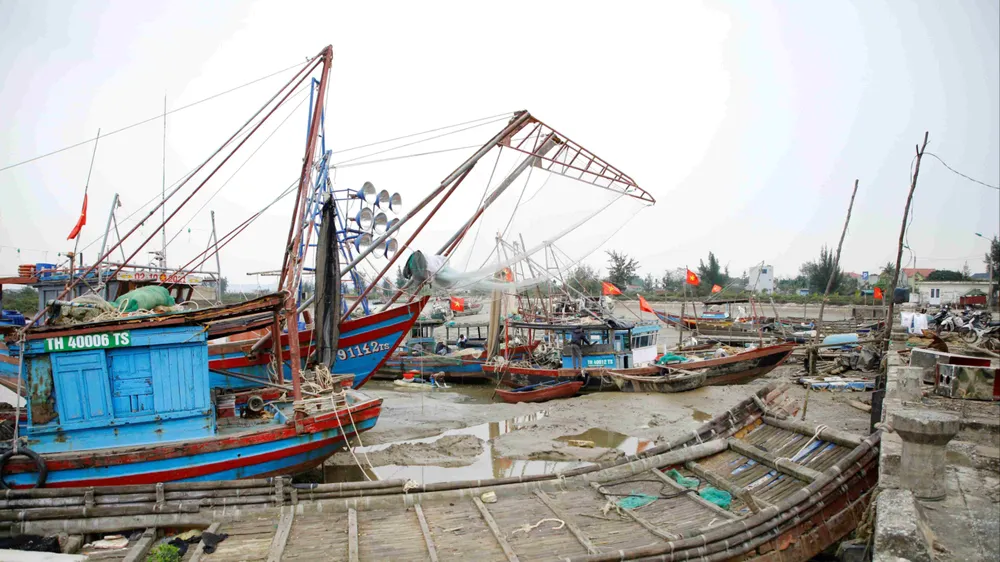 Nhiều tàu thuyền, bè mảng mắc cạn trong cảng cá