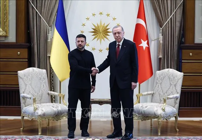 Tổng thống Thổ Nhĩ Kỳ Recep Tayyip Erdogan (phải) trong cuộc gặp người đồng cấp Ukraine Volodymyr Zelensky tại Ankara, ngày 15-5-2025. Ảnh: THX/TTXVN