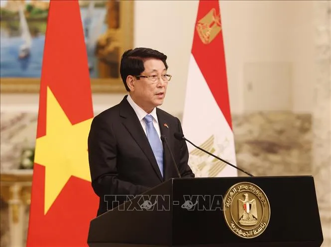 Chủ tịch nước Lương Cường thông tin về kết quả hội đàm với Tổng thống Ai Cập Abdel Fattah El-Sisi. Ảnh: TTXVN