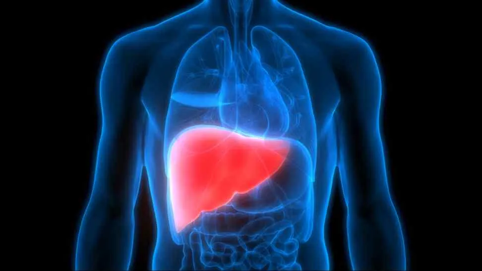 Ảnh: centenary.org.au