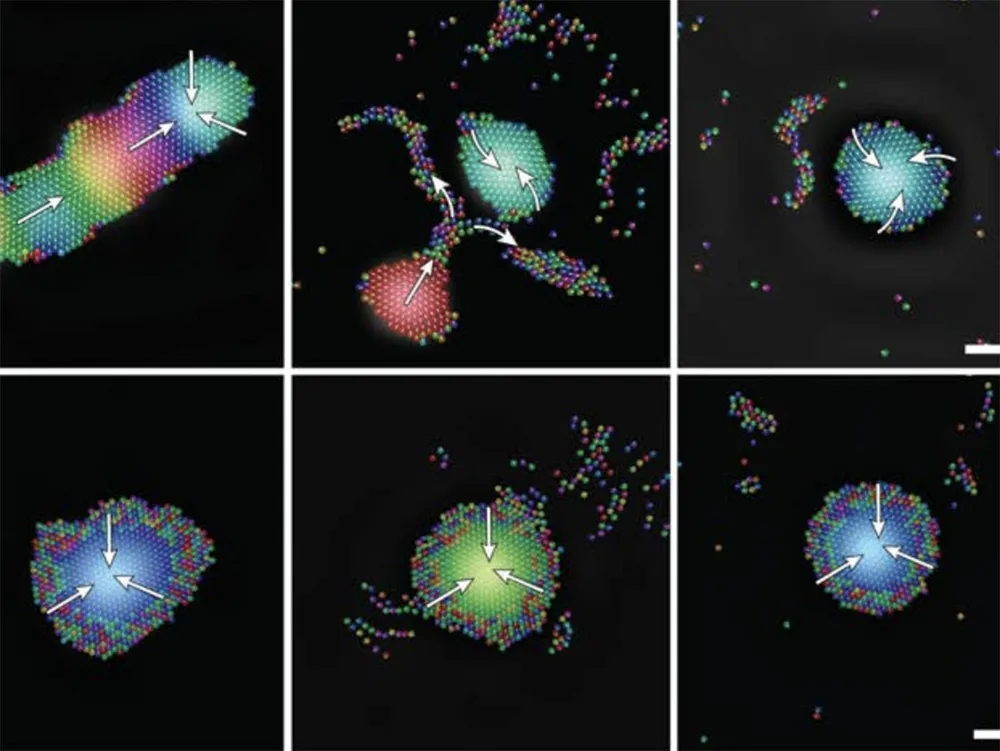 Robot tí hon với những nhiệm vụ đầy thách thức