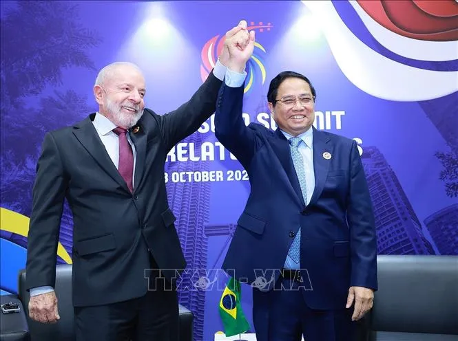 Thủ tướng Phạm Minh Chính hội kiến Tổng thống Brazil Lula da Silva. Ảnh: TTXVN