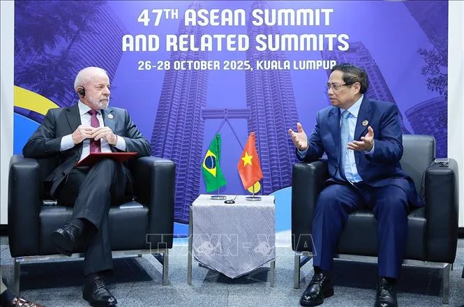 Thủ tướng Phạm Minh Chính hội kiến Tổng thống Brazil Lula da Silva. Ảnh: TTXVN