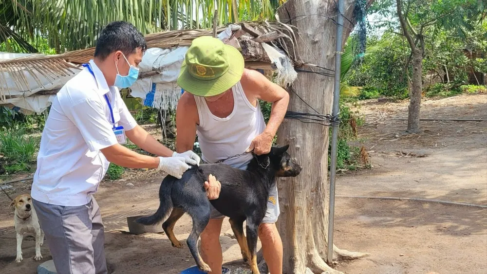 Cán bộ Chi cục Chăn nuôi và Thú y TPHCM phối hợp UBND cấp xã tiêm vắc-xin phòng bệnh dại cho chó nuôi tại các hộ gia đình (ẢNH: TÂM TRANG)