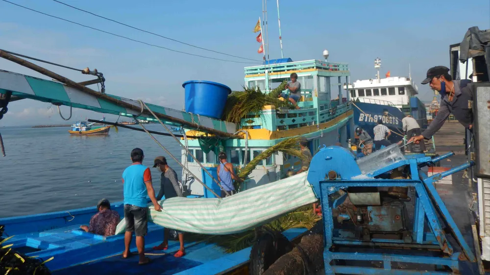 Ngư dân Lâm Đồng chuẩn bị cho chuyến ra khơi đầu năm Bính Ngọ 2026 (ẢNH: NGUYỄN TIẾN)