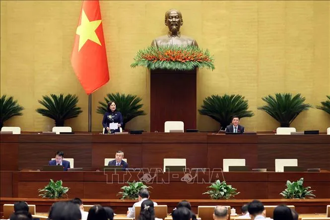 Phó Chủ tịch Quốc hội Nguyễn Thị Hồng điều hành phiên họp. Ảnh: TTXVN